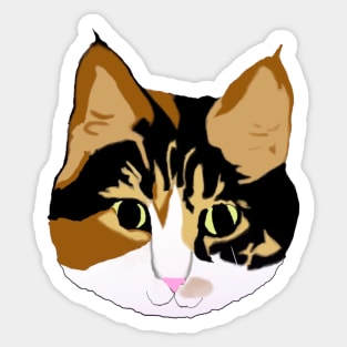 Calico kitten Sticker